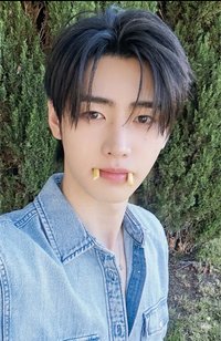 25年D社 GOLDEN AGE 雜誌卡 