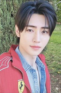 25年D社 GOLDEN AGE 雜誌卡 