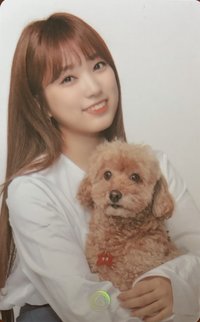 Gmarket 聯名 代言卡 新G