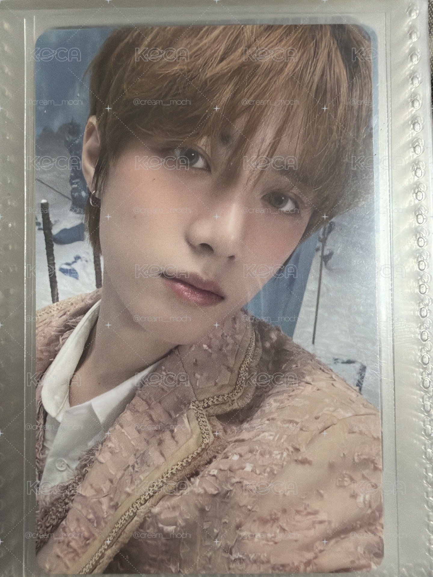txt dvd卡