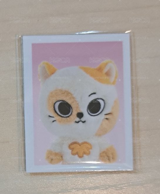 二代Catbbi吊飾娃證件照