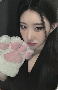 CHESHIRE sw 3.0 簽售卡 貓爪領