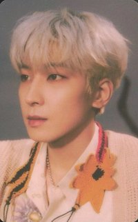 正四 專輯卡 ｜WVS電子專ver.