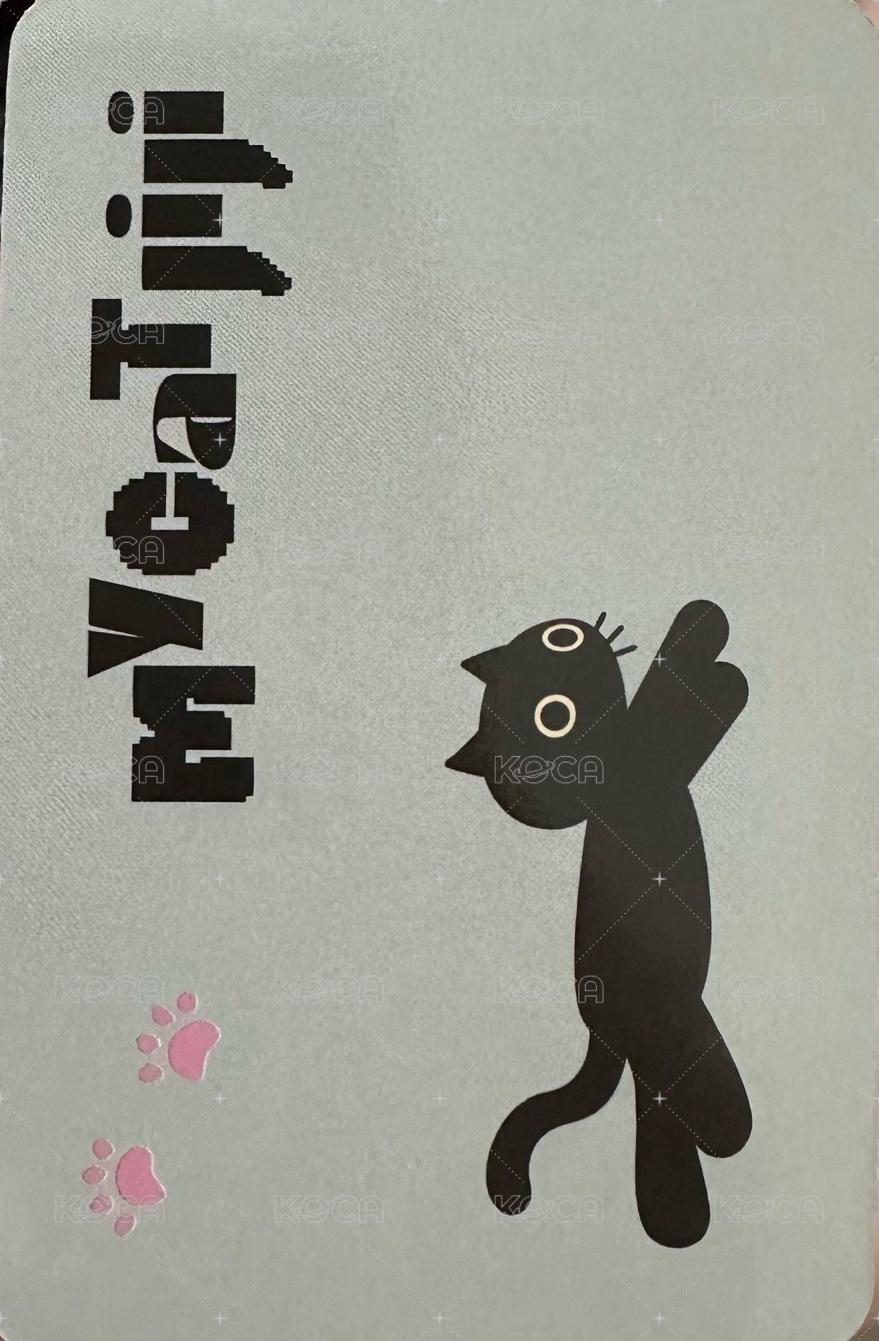 16 fantasy 卡套卡 周邊卡  背面