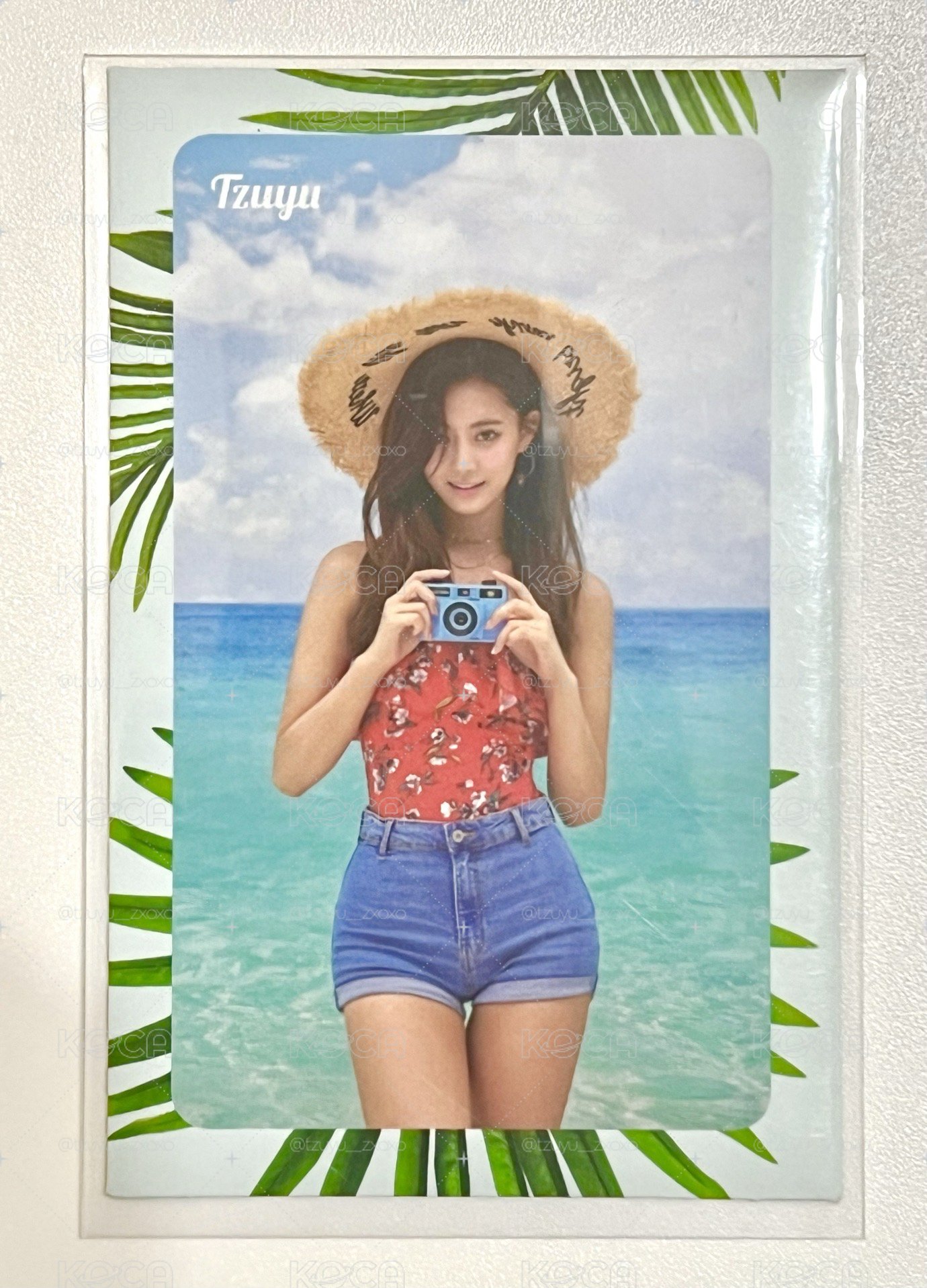 TWICE｜子瑜｜Summer Nights