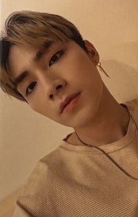 我們成為家人了 周邊卡 綜藝卡