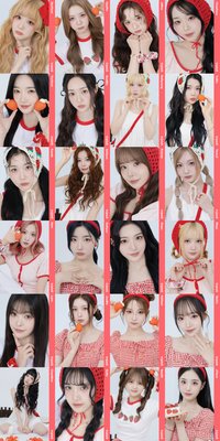 <ASSEMBLE25> 草莓卡 野餐卡 aa305-aa308