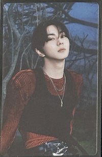 WTL世巡 卡包 隨機卡 