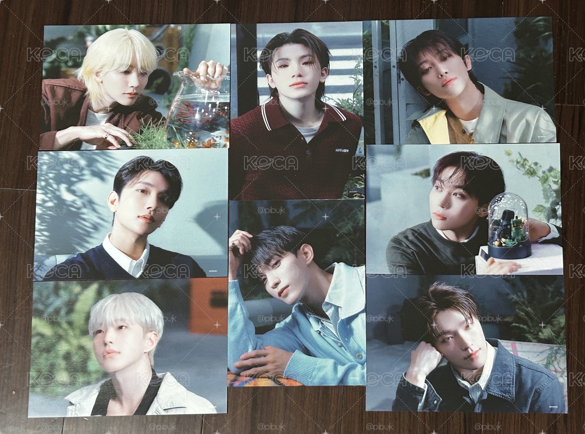 SEVENTEEN 消費期限 塔店預售特典 B5小海報