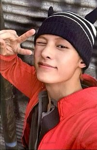 26年曆 wvs 特典卡 