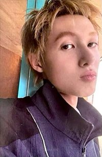 26年曆 wvs 特典卡 