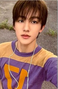 26年曆 wvs 特典卡 