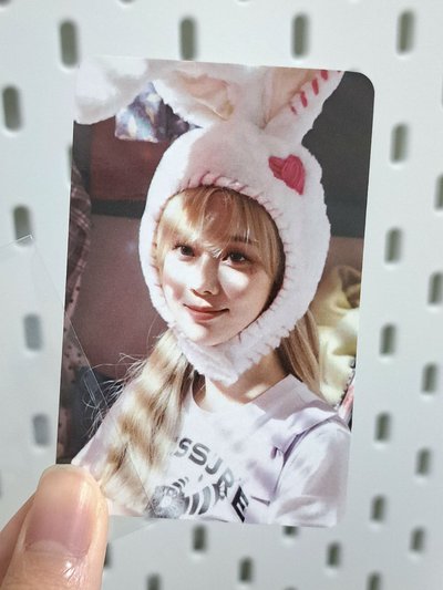 電影快閃 滿額卡  陽光兔子冬