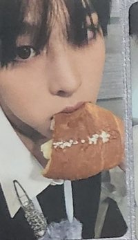 steady 專卡 咬麵包