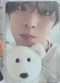 steady 專卡 抱熊