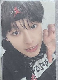 steady 專卡 貓爪