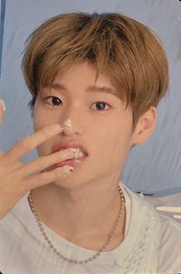 2026年曆 隨機卡 B版 concept photo