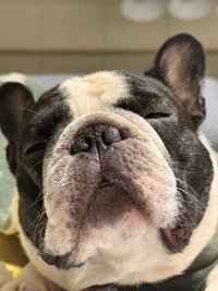 YU（購買前先看自介）