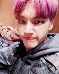 從明天開始不買卡