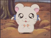 Kuri