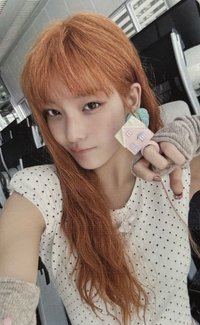 NOT CUTE ANYMORE wm 1.0 幸運卡 