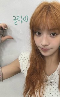 NOT CUTE ANYMORE wvs 1.0 幸運卡 