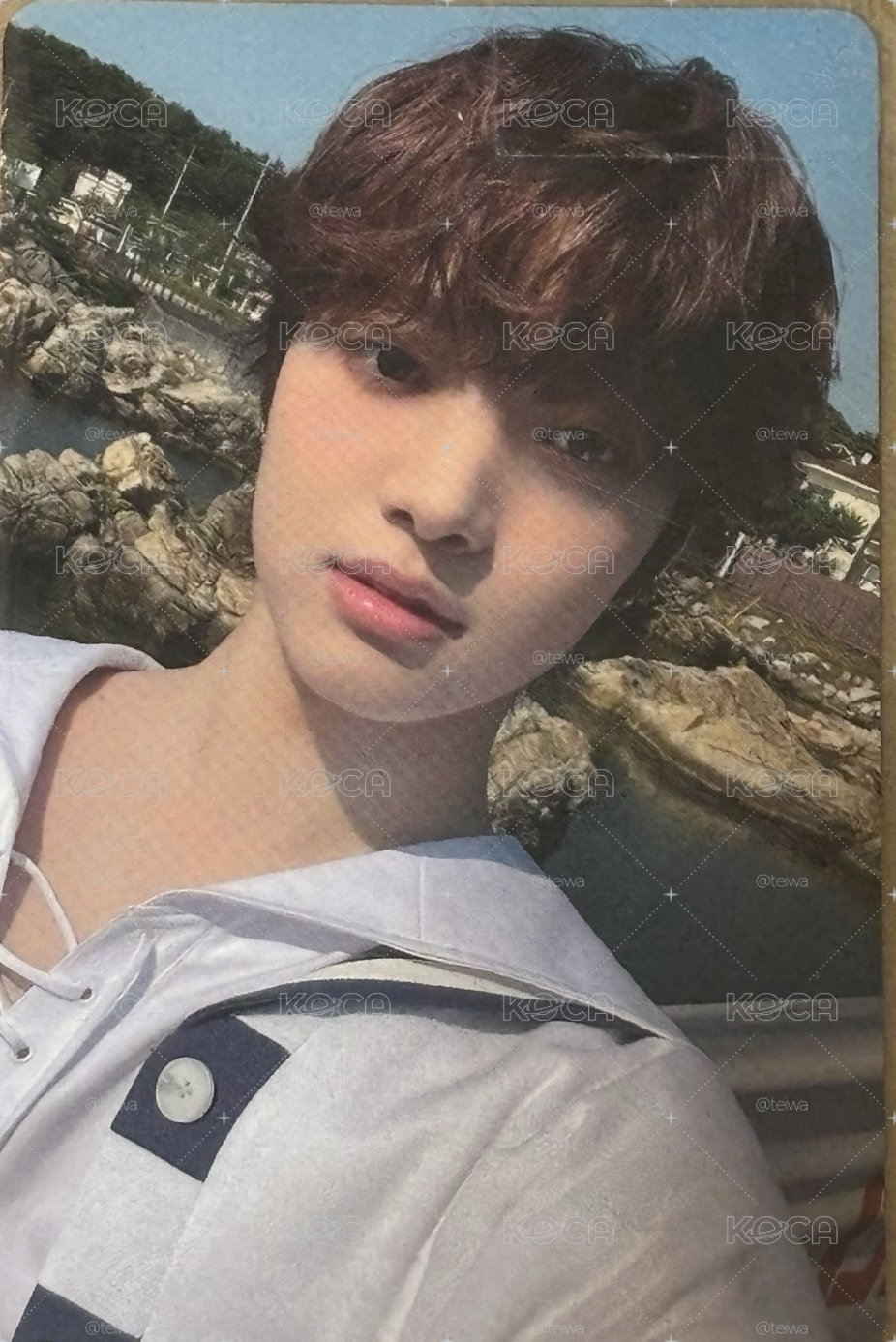 呆🐟