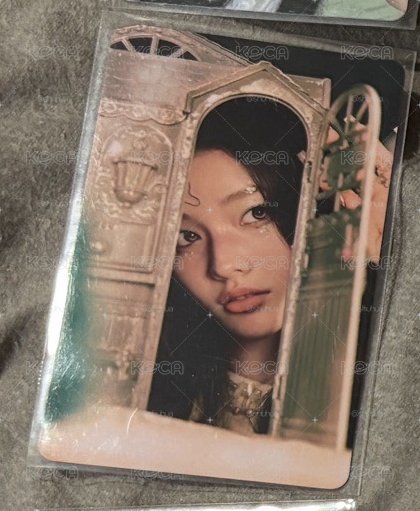 預售羽