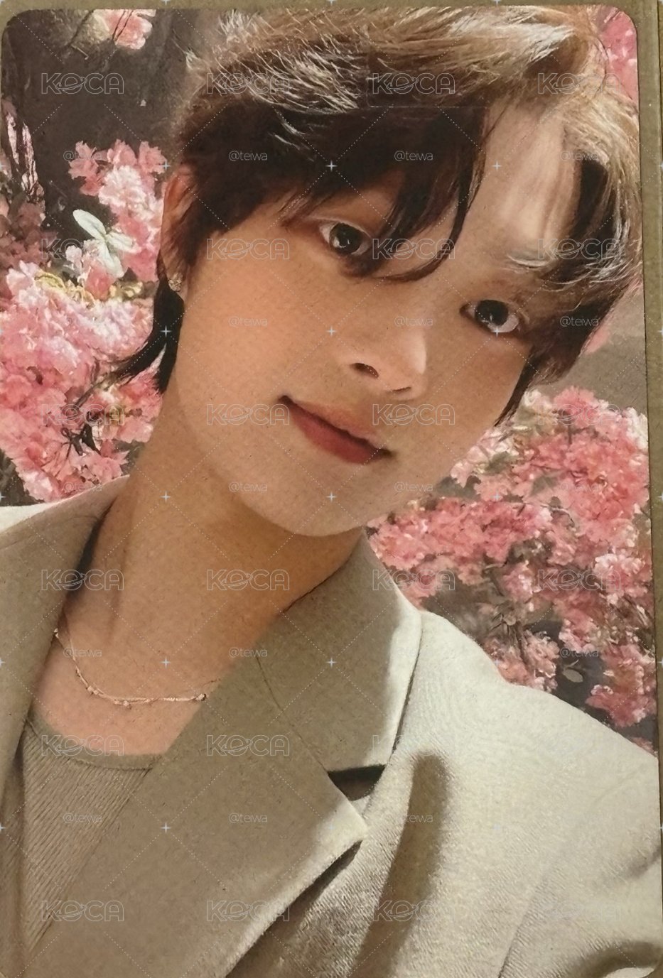 背景花花