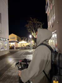 金小白
