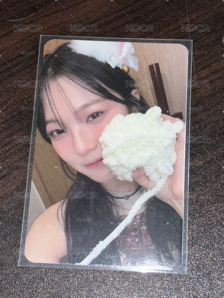 br簽售 貓貓白
