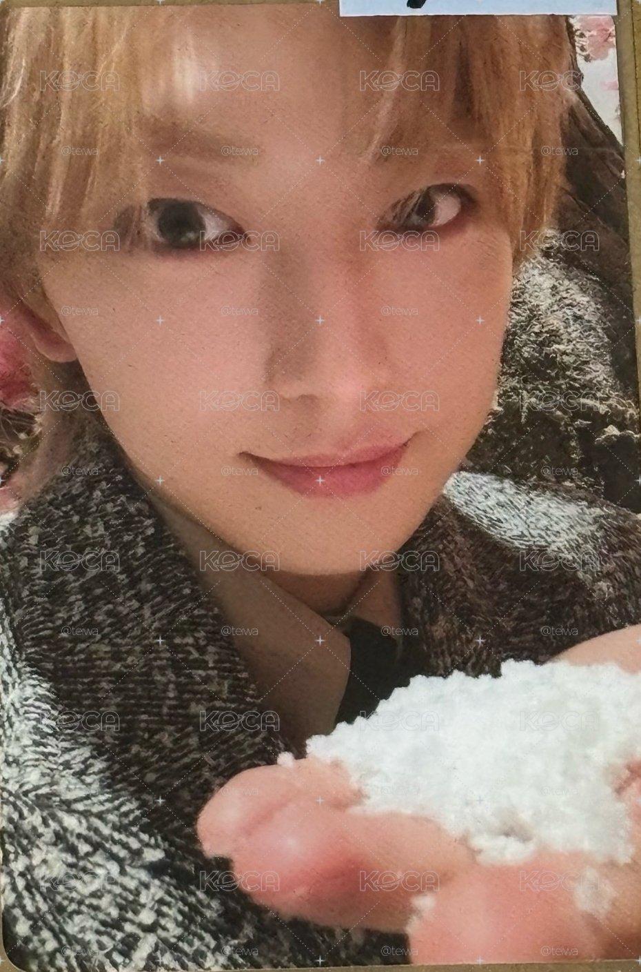 獻雪
