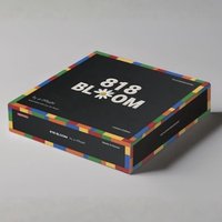 818 Bloom 立體拼圖 樂高
