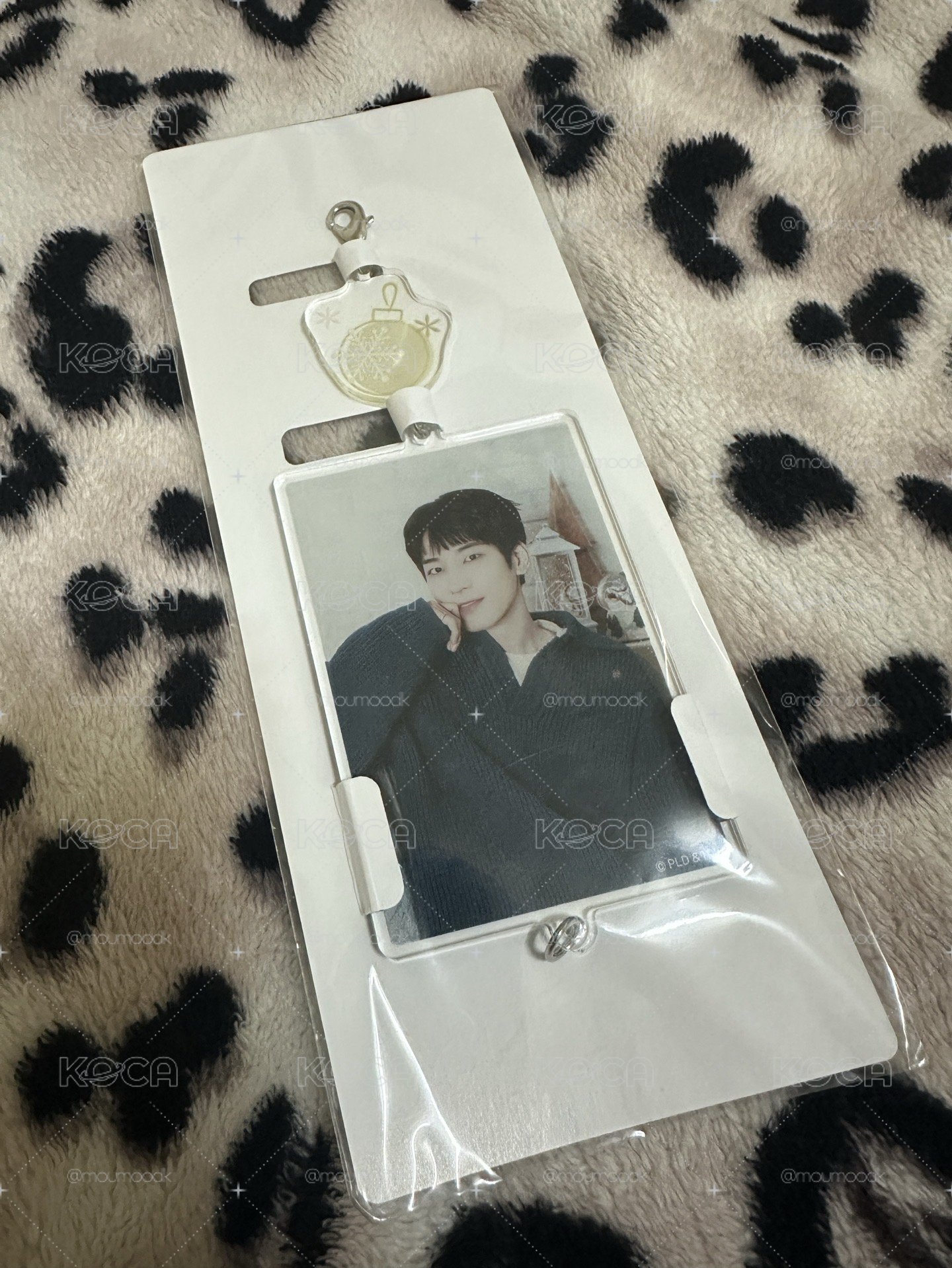 Seventeen 圓佑