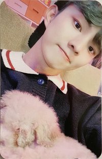 CHASE wd 特典卡 狗狗卡