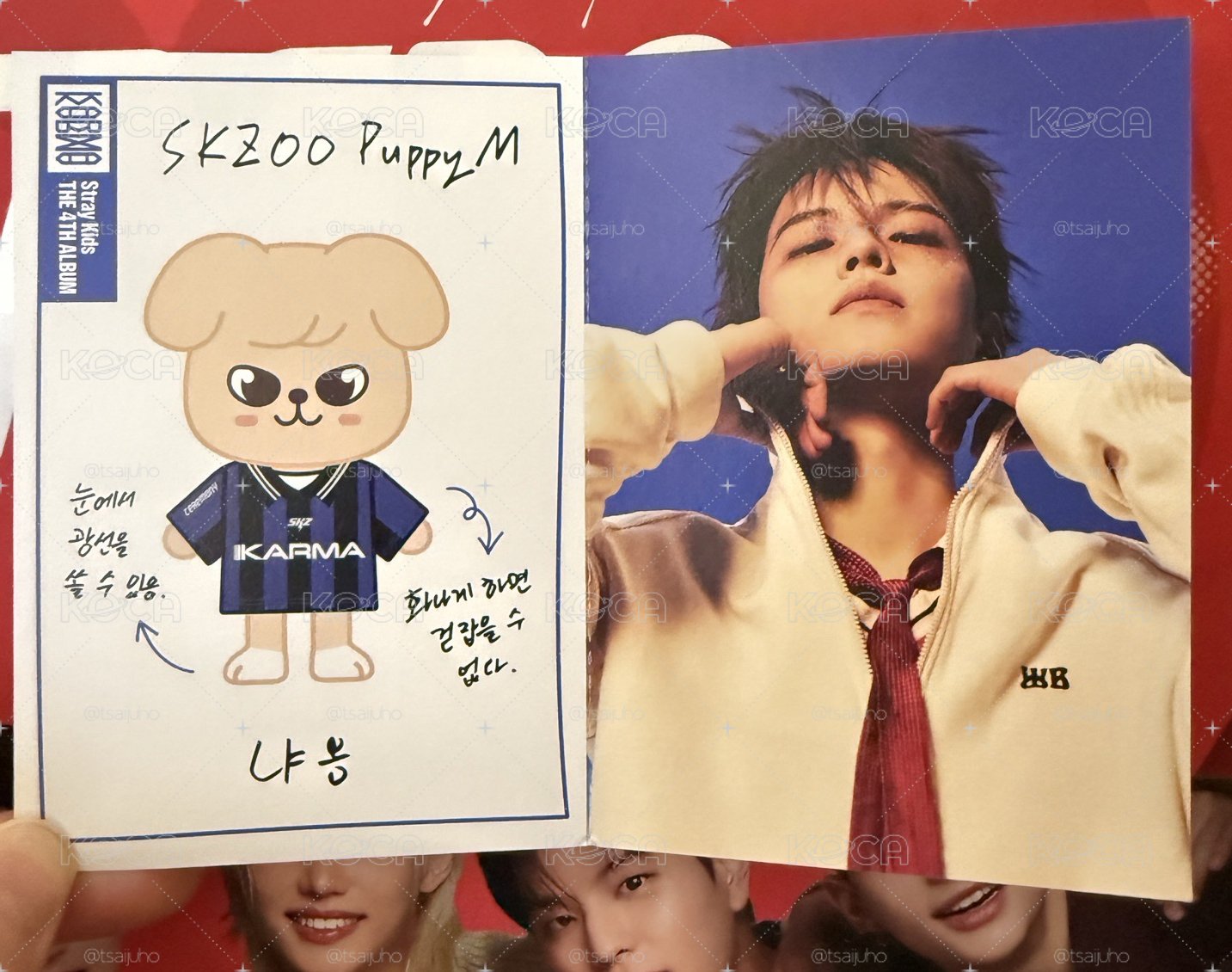 puppy m 身分證