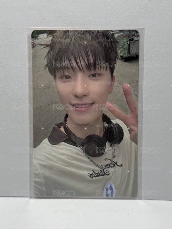 SEVENTEEN DINO 迷12 wvs LD
