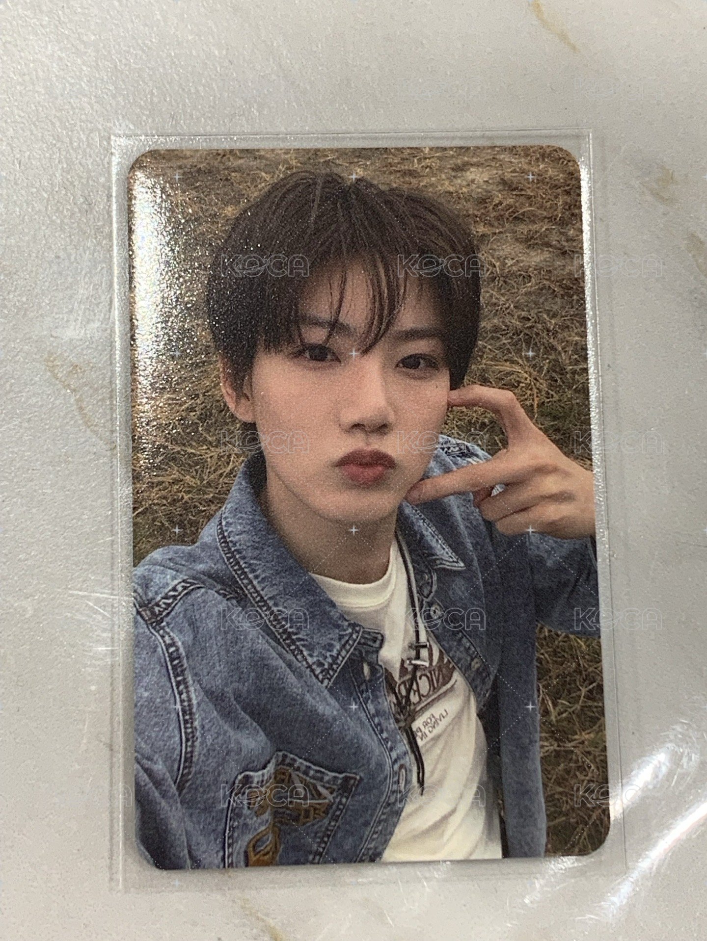 PLEASURE 打歌卡  背面