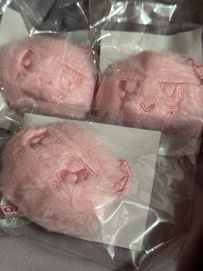 在台現貨 Seventeen new 日巡 東京場限定 粉蹦蹦