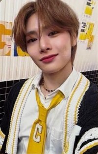 2024 FC 演唱會 DVD / CD 卡 Blu-ray 完全生產限定盤