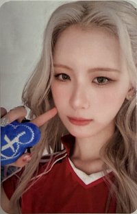 MIRROR INTO OURSELVE 周邊卡 熊頭造型悠遊卡