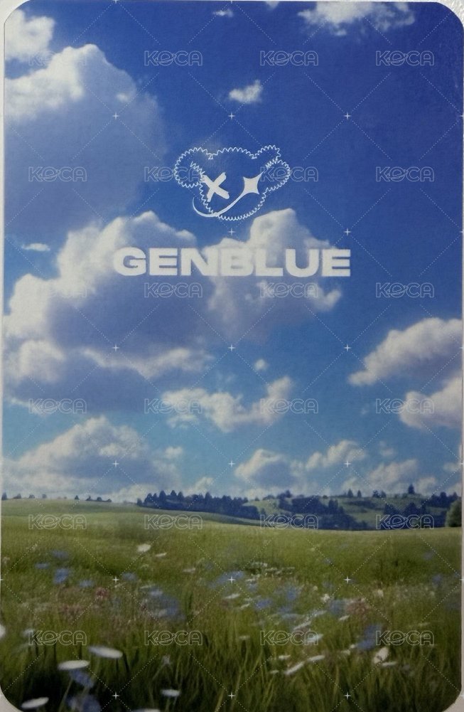 MIRROR INTO OURSELVE 周邊卡 熊頭造型悠遊卡 背面