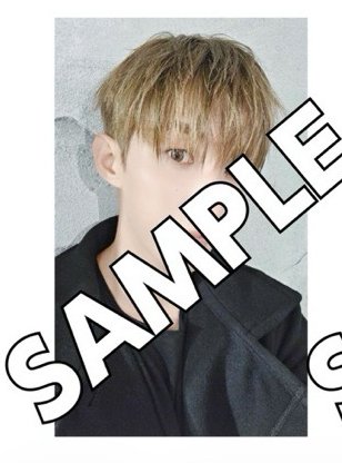 DxS 小分隊 日通環球特典 碩