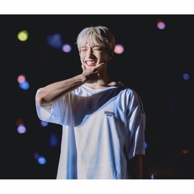 【現貨全新未拆】seventeen follow again 日巡 日本 白T 短袖 上衣 李碩珉同款 演唱會