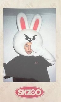 1st FM 周邊卡 拍立得 SKZOO ver.