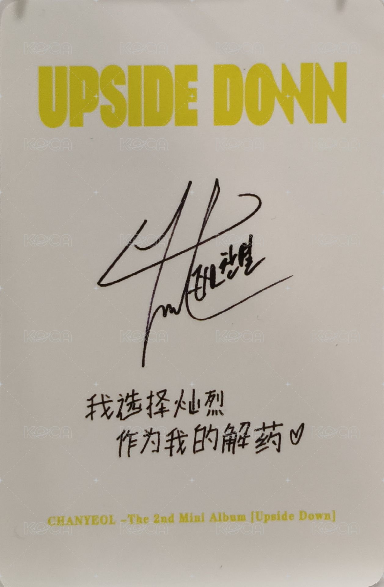 UPSIDE DOWN 泡泡摩奇 特典卡  背面