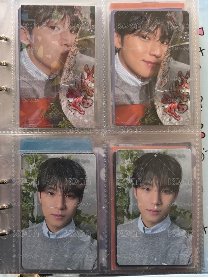 SEVENTEEN MINGYU 消費期限 