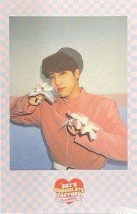 2nd FM 周邊卡 SKZOO ver. 預售禮拍立得