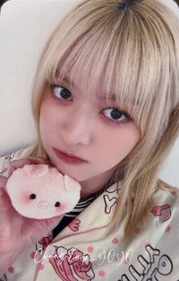 正規一 ms 15.0 簽售卡 小豬豬 ver.