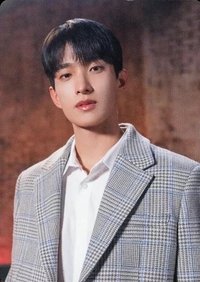 POL 日區 電影卡 